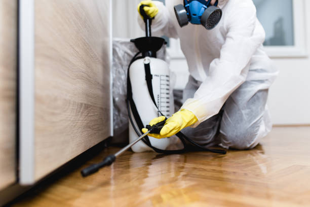 Best Local Pest Control Services  in West Pensacola, FL