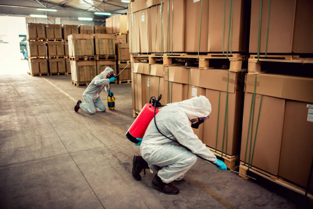 Best Affordable Pest Control Services  in West Pensacola, FL