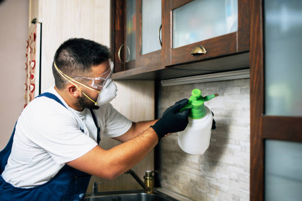 Best Mosquito Control Services  in West Pensacola, FL