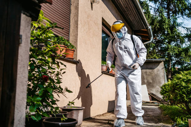 Best Bed Bug Extermination  in West Pensacola, FL
