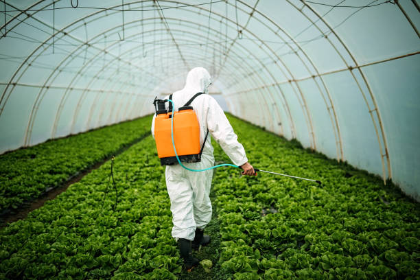 Best Affordable Pest Control Services  in West Pensacola, FL