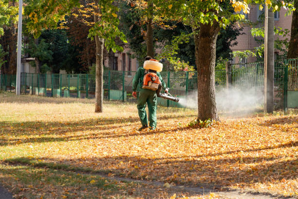 Best Best Pest Control Companies  in West Pensacola, FL