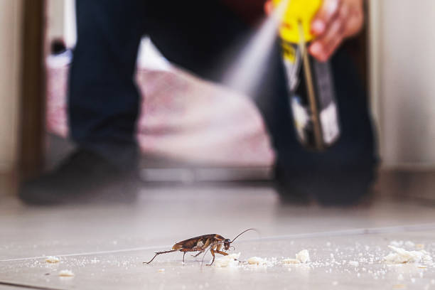 Best Pest Prevention Services  in West Pensacola, FL