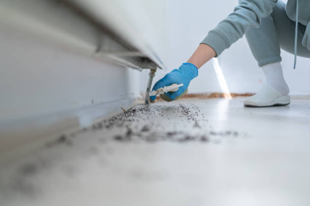 Best Pest Control Near Me  in West Pensacola, FL